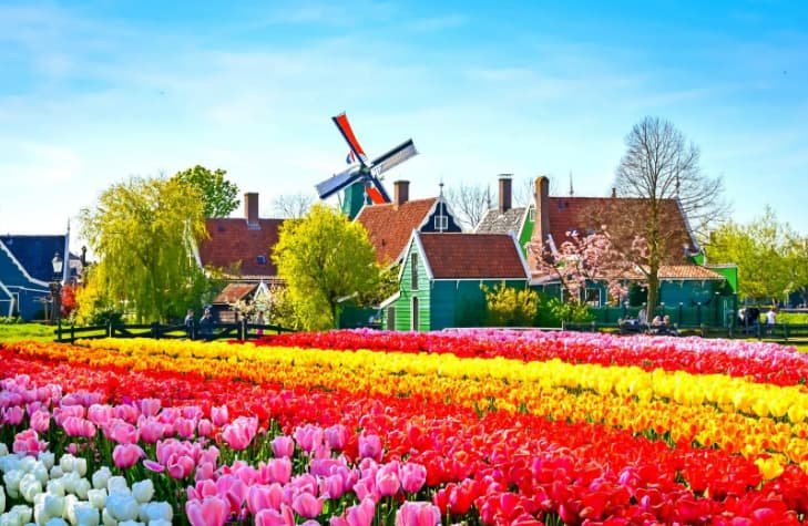 برامج سياحية في هولندا