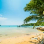 أماكن سياحية في هولندا على البحر